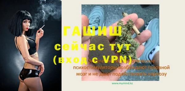стаф Горняк