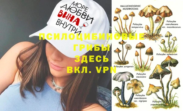 спайс Вязники