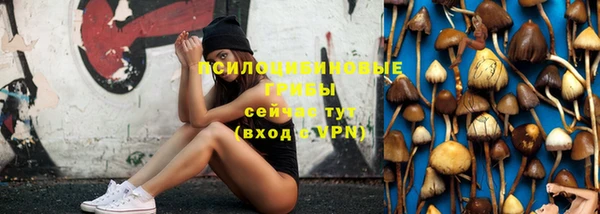 стаф Горняк
