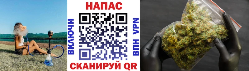 закладки  Гороховец  Конопля Amnesia 